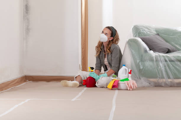 Reliable Black Mold Remediation contractor in Converse, TX by 24 Hour Mold Removal